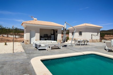 Villa à vendre Pinoso, Alicante, Espagne, 5 chambres, 325 m2 No. 116313 - photo 19