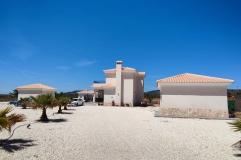 Villa à vendre Pinoso, Alicante, Espagne, 5 chambres, 325 m2 No. 116313 - photo 9