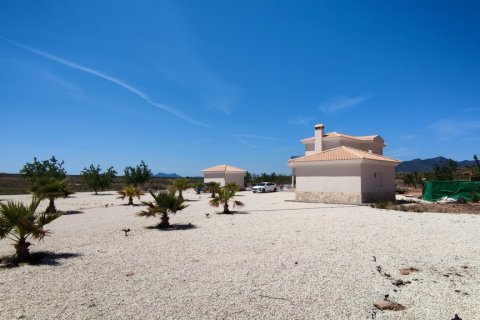 Villa à vendre Pinoso, Alicante, Espagne, 5 chambres, 325 m2 No. 116313 - photo 13