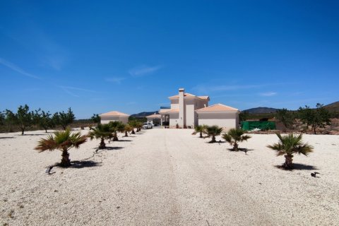Villa à vendre Pinoso, Alicante, Espagne, 5 chambres, 325 m2 No. 116313 - photo 8