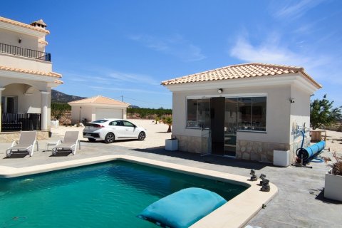Villa à vendre Pinoso, Alicante, Espagne, 5 chambres, 325 m2 No. 116313 - photo 18
