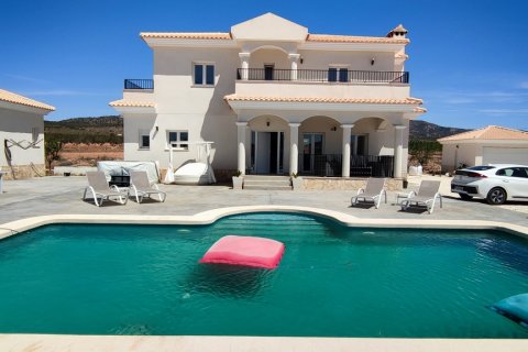 Villa à vendre Pinoso, Alicante, Espagne, 5 chambres, 325 m2 No. 116313 - photo 5