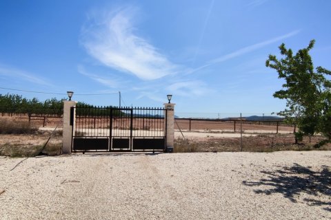 Villa à vendre Pinoso, Alicante, Espagne, 5 chambres, 325 m2 No. 116313 - photo 7