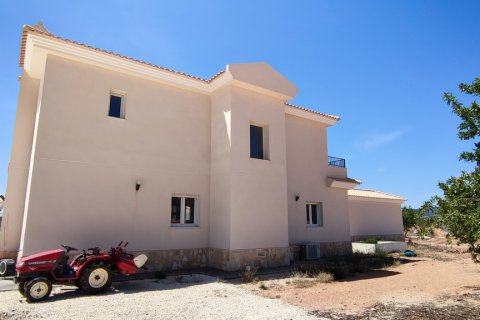 Villa à vendre Pinoso, Alicante, Espagne, 5 chambres, 325 m2 No. 116313 - photo 15