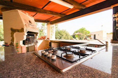 Villa pārdošanā Bigastro, Alicante, Spānijā 4 istabas, 844 m2 Nr. 116324 - attēls 25