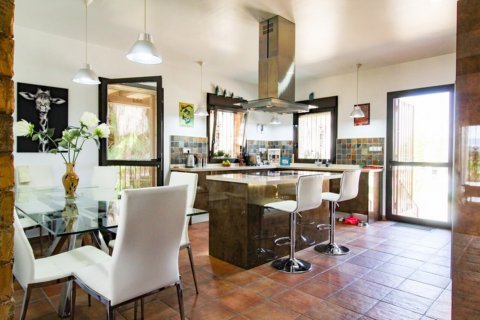 Villa pārdošanā Bigastro, Alicante, Spānijā 4 istabas, 844 m2 Nr. 116324 - attēls 12