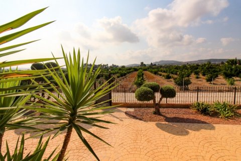 Villa pārdošanā Bigastro, Alicante, Spānijā 4 istabas, 844 m2 Nr. 116324 - attēls 5