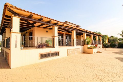Villa pārdošanā Bigastro, Alicante, Spānijā 4 istabas, 844 m2 Nr. 116324 - attēls 4