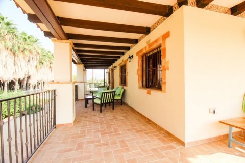 Villa pārdošanā Bigastro, Alicante, Spānijā 4 istabas, 844 m2 Nr. 116324 - attēls 7