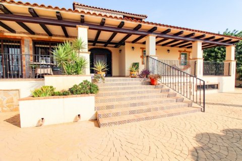 Villa pārdošanā Bigastro, Alicante, Spānijā 4 istabas, 844 m2 Nr. 116324 - attēls 3
