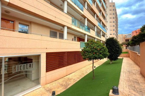Appartamento in affitto Villajoyosa, Alicante, Spagna 2 camere da letto, 84 mq. N° 109476 - foto 8