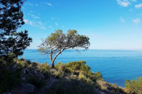 Land plot for sale Villajoyosa, Alicante, Spain 1 bedroom, 53 sq.m. No. 113532 - photo 14