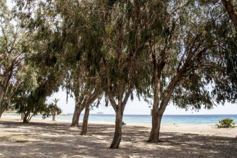 Land plot for sale Villajoyosa, Alicante, Spain 1 bedroom, 53 sq.m. No. 113532 - photo 11