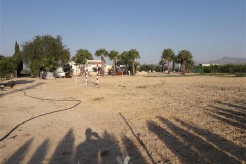 Villa zum Verkauf La Matanza, Alicante, Spanien 7 Schlafzimmer, 350 m2 Nr. 116310 - Foto 6