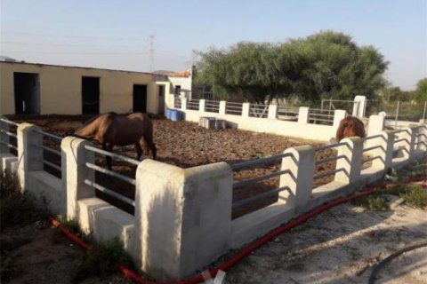 Villa zum Verkauf La Matanza, Alicante, Spanien 7 Schlafzimmer, 350 m2 Nr. 116310 - Foto 5