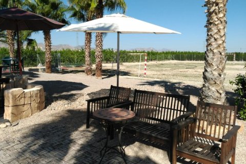 Villa zum Verkauf La Matanza, Alicante, Spanien 7 Schlafzimmer, 350 m2 Nr. 116310 - Foto 10