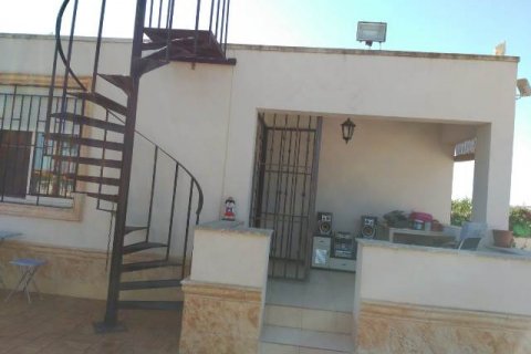 Villa zum Verkauf La Matanza, Alicante, Spanien 7 Schlafzimmer, 350 m2 Nr. 116310 - Foto 14