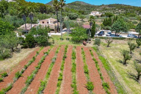 Villa in vendita Senija, Alicante, Spagna 3 camere da letto, 400 mq. N° 116307 - foto 29