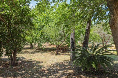 Villa in vendita Senija, Alicante, Spagna 3 camere da letto, 400 mq. N° 116307 - foto 22