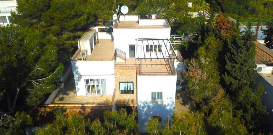 Villa Alicante, Espagne 5 chambres, 291 m2 No. 116009