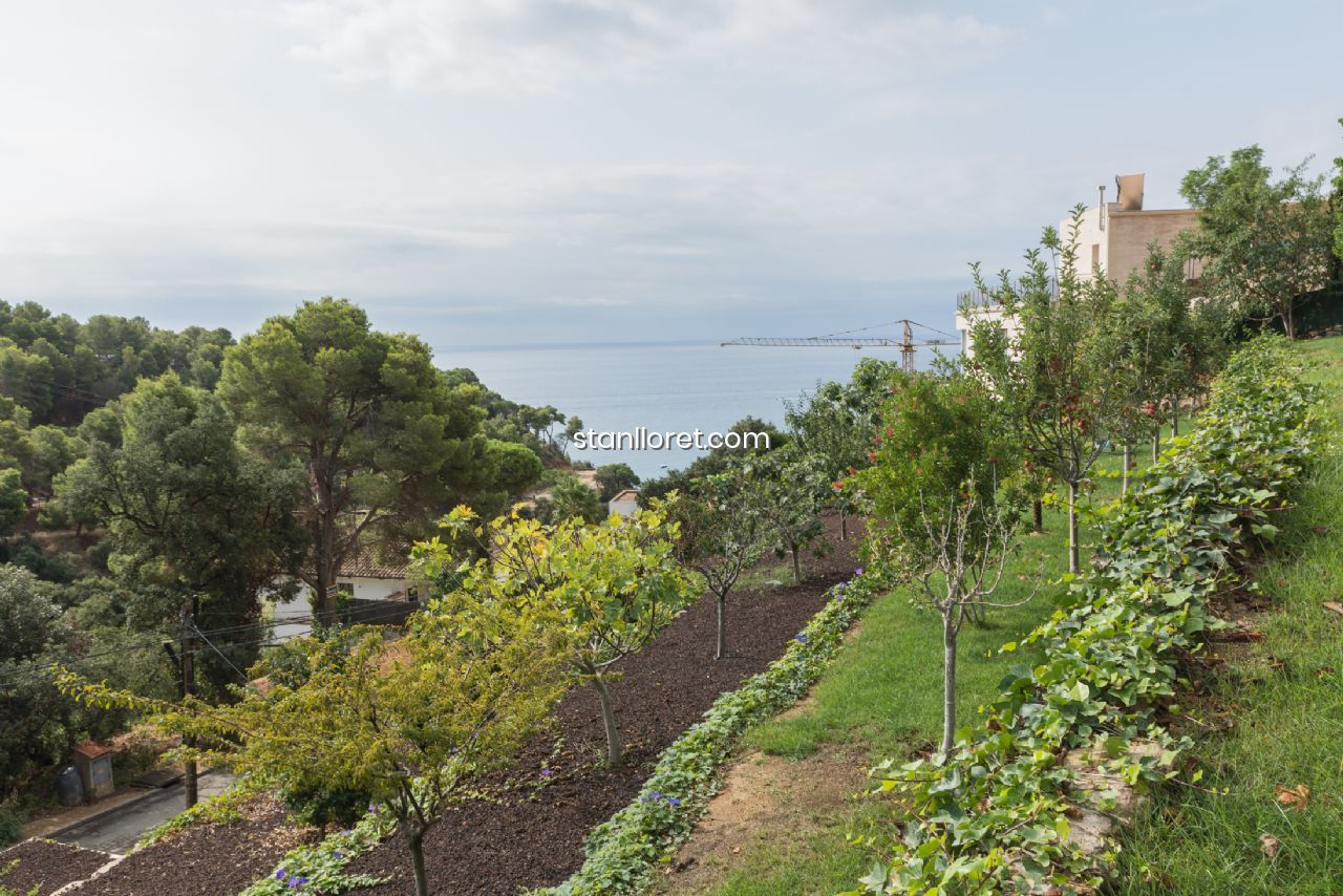 Villa Tossa de Mar, Girona, Spānijā 6 istabas, 449 m2 Nr. 104031