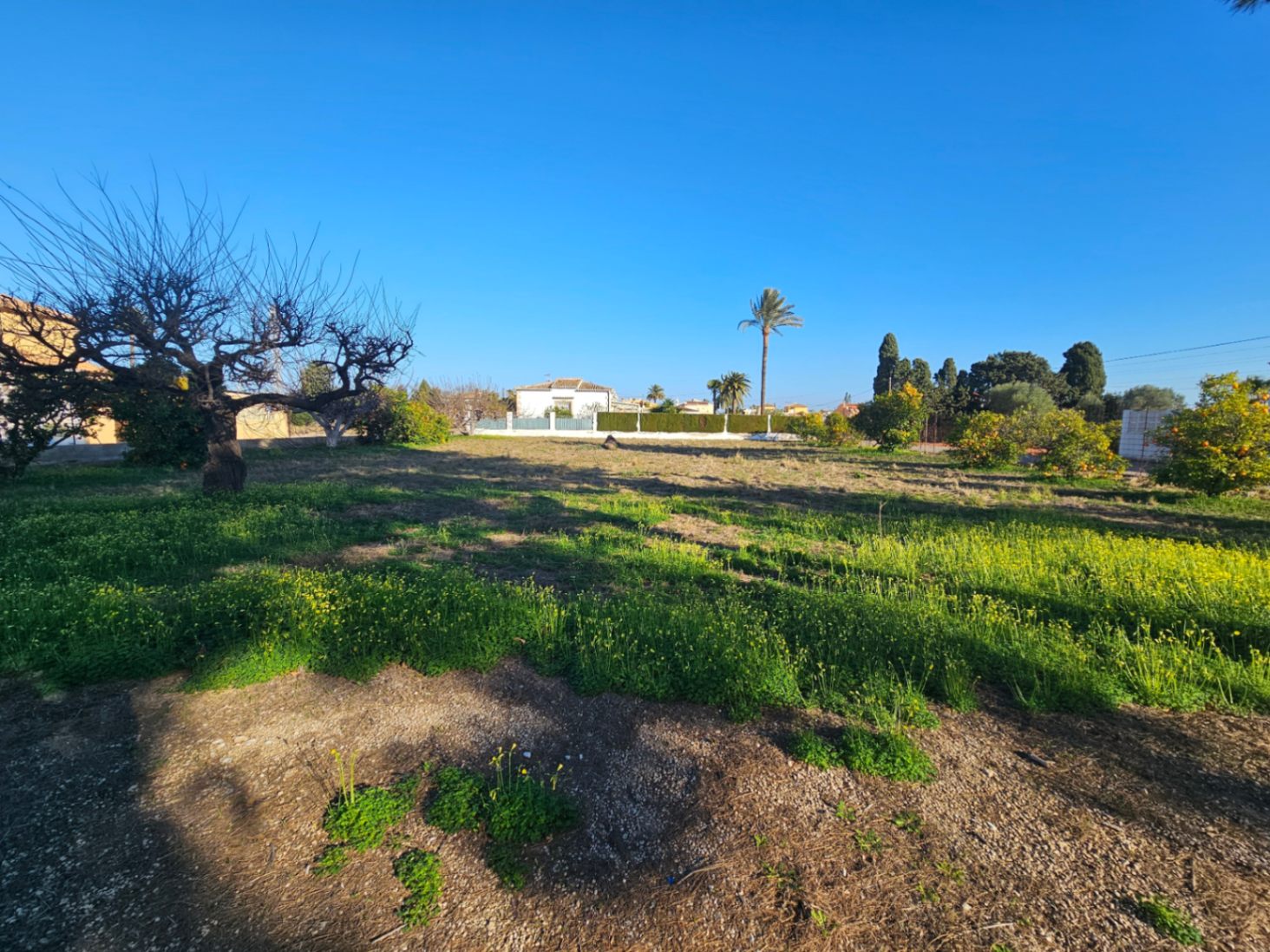 Villa in Els Poblets, Alicante, Spain 4 bedrooms, 161 sq.m. No. 94056
