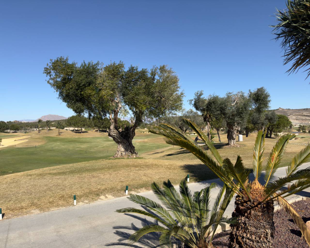 Huvila Los Montesinos, Alicante, Espanja 3 makuuhuonetta, 164 m2 No. 94060