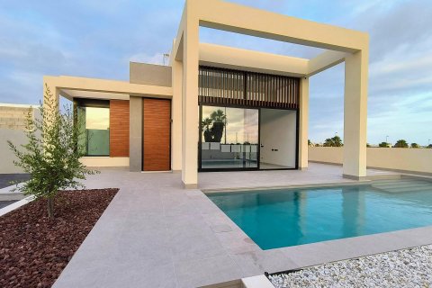 Villa zum Verkauf Rojales, Alicante, Spanien 3 Schlafzimmer, 273 m2 Nr. 111364 - Foto 1