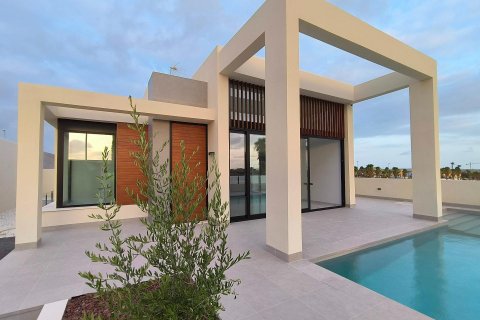 Villa zum Verkauf Rojales, Alicante, Spanien 3 Schlafzimmer, 273 m2 Nr. 111364 - Foto 20