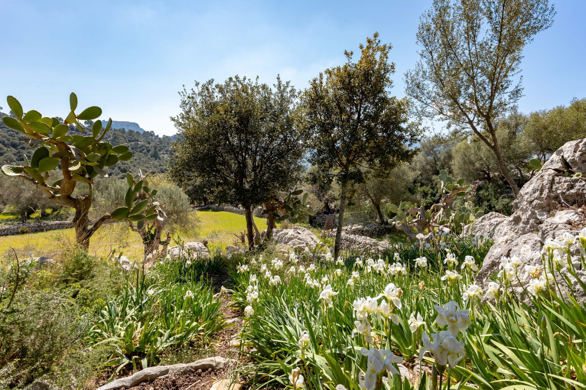 Finca Escorca, Mallorca, Spānijā 8 istabas, 736 m2 Nr. 102049