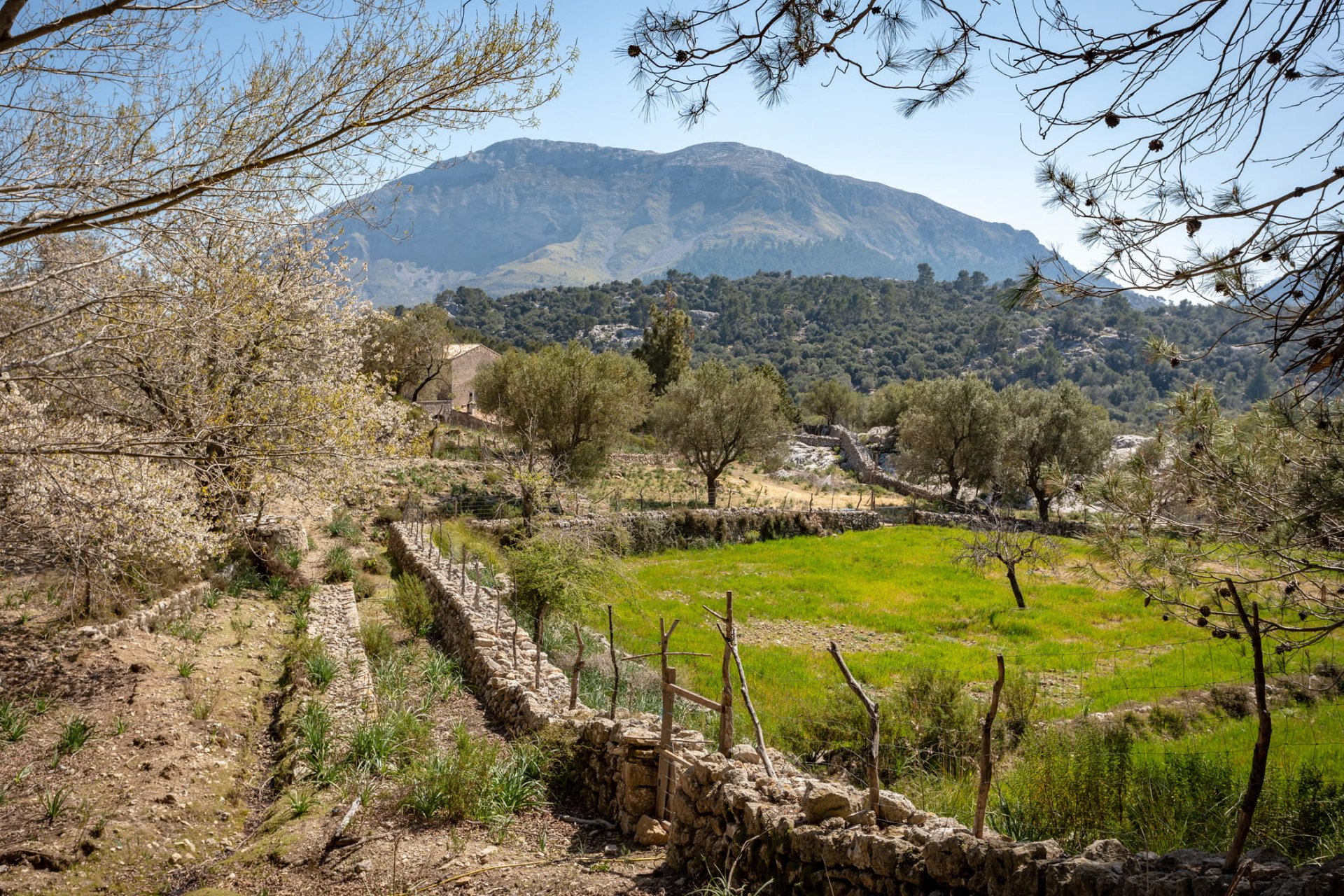 Finca Escorca, Mallorca, Spānijā 8 istabas, 736 m2 Nr. 102049