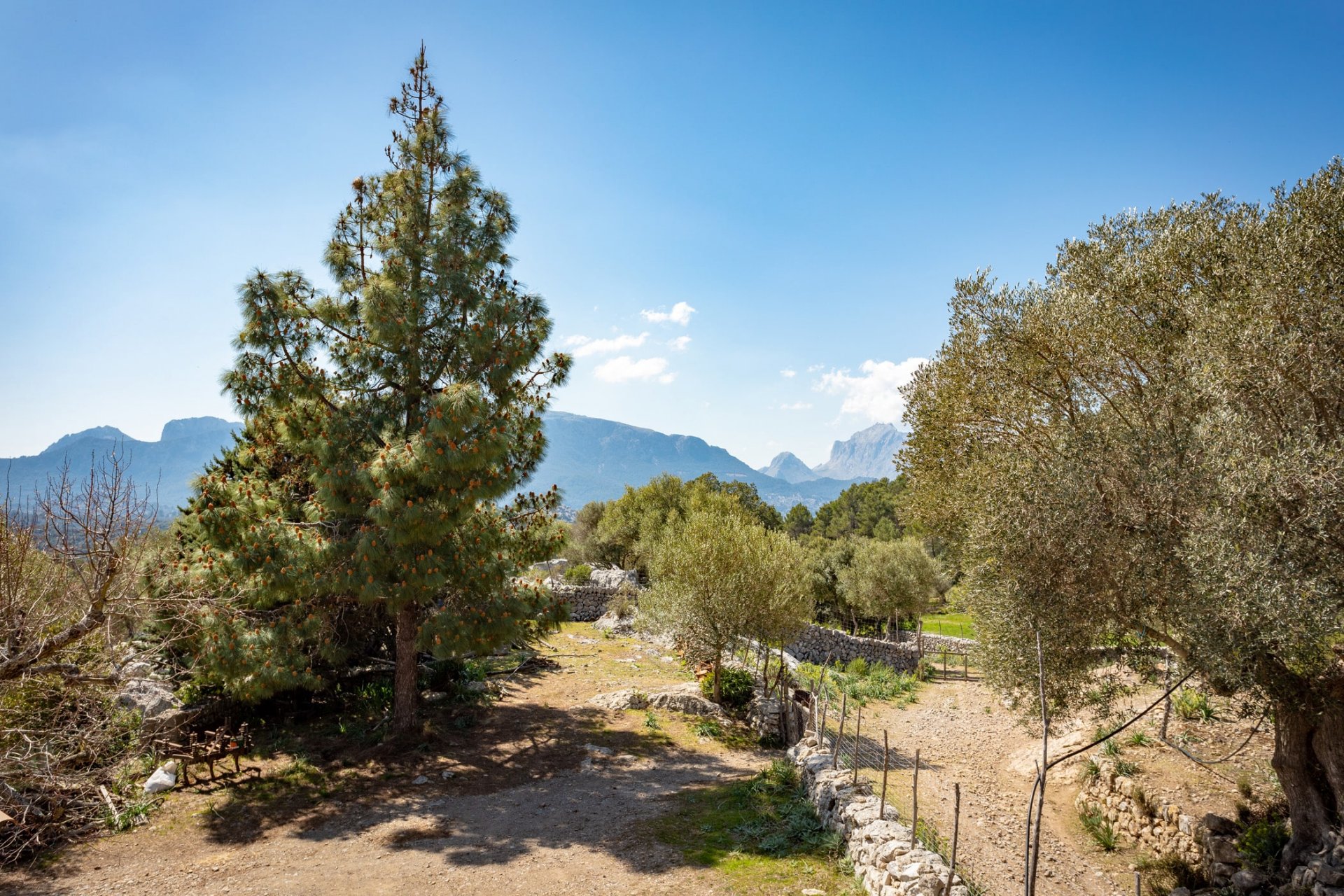 Finca Escorca, Mallorca, Spānijā 8 istabas, 736 m2 Nr. 102049