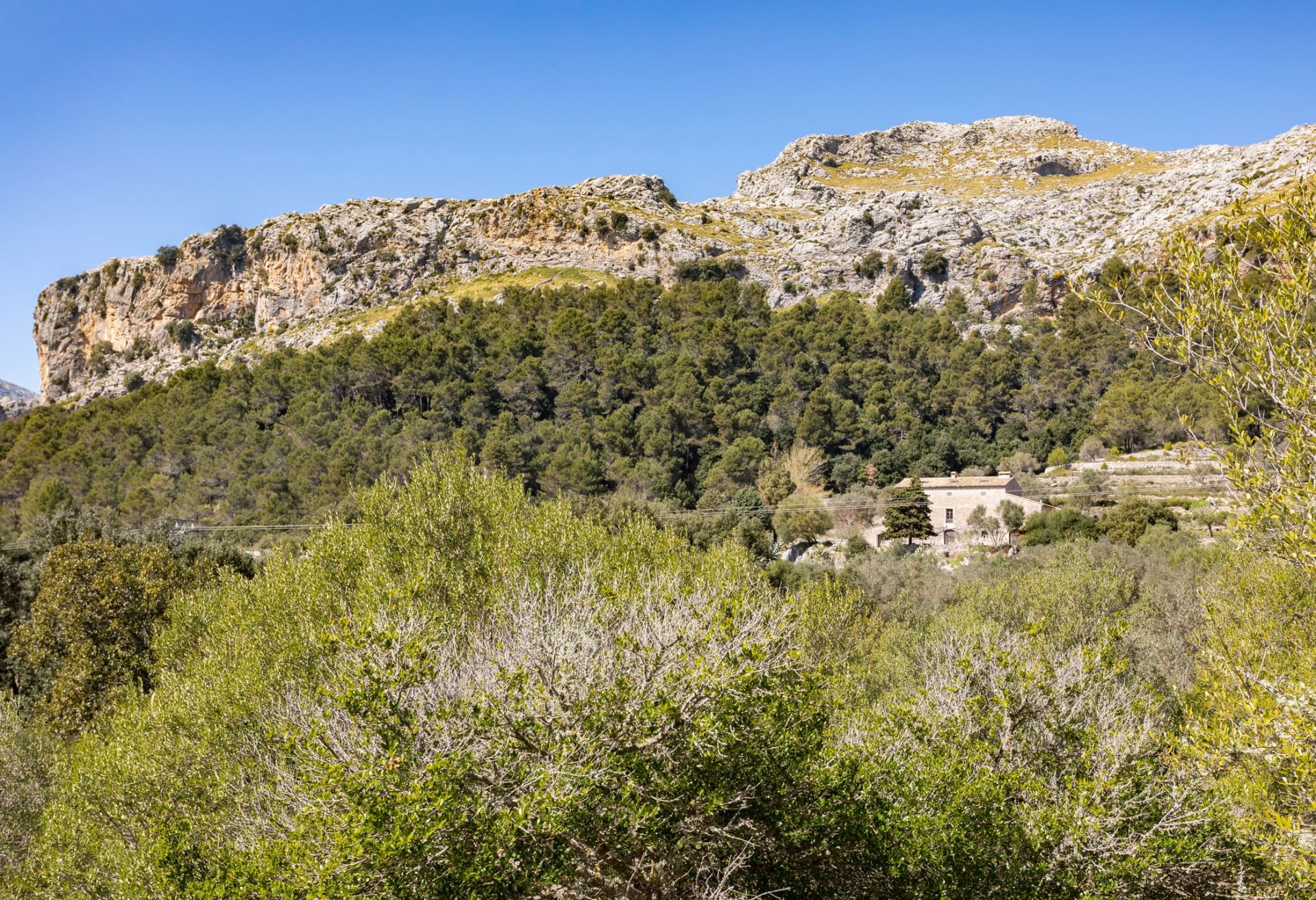 Finca Escorca, Mallorca, Spānijā 8 istabas, 736 m2 Nr. 102049