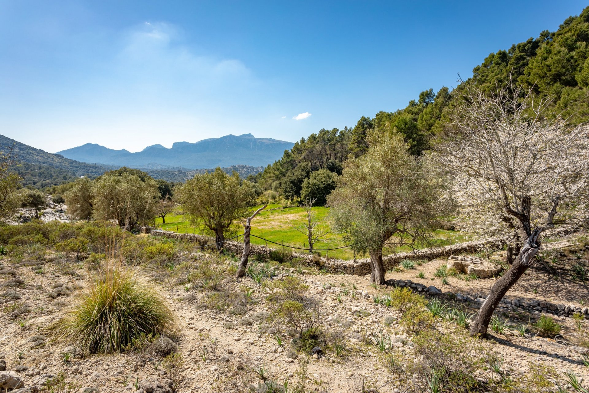 Finca Escorca, Mallorca, Spānijā 8 istabas, 736 m2 Nr. 102049