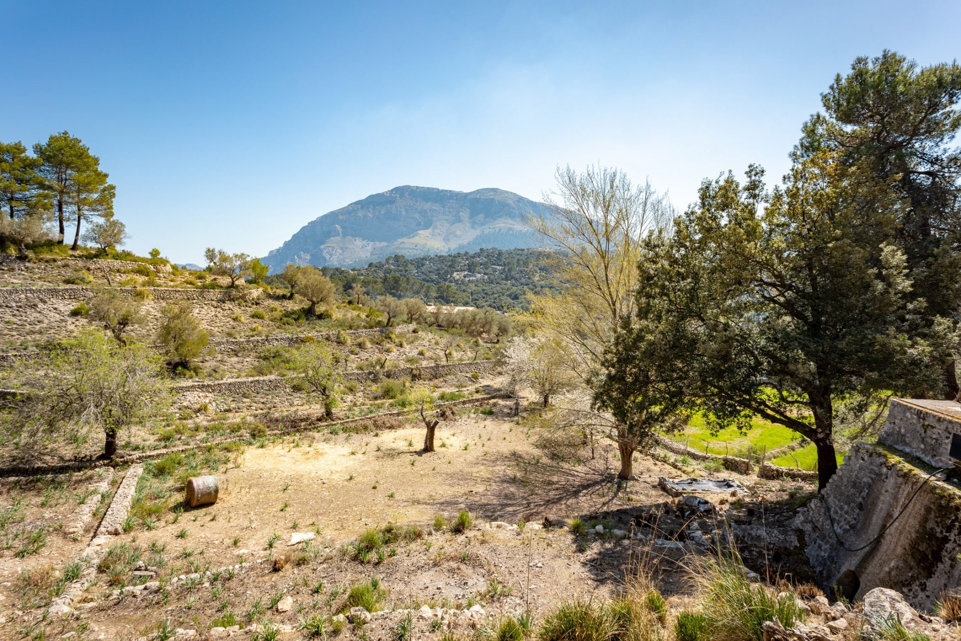 Finca Escorca, Mallorca, Spānijā 8 istabas, 736 m2 Nr. 102049