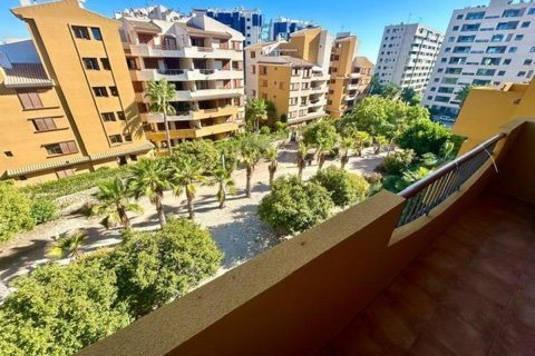 Apartment à vendre Torrevieja, Alicante, Espagne, 3 chambres, 111 m2 No. 113001 - photo 12