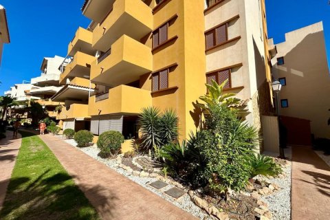 Apartment à vendre Torrevieja, Alicante, Espagne, 3 chambres, 111 m2 No. 113001 - photo 24