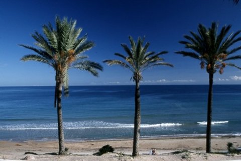 Bungalo pārdošanā Pilar de la Horadada, Alicante, Spānijā 2 istabas, 67 m2 Nr. 116042 - attēls 9