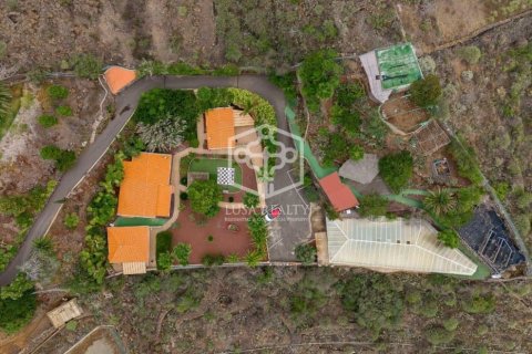Villa in vendita Guia de Isora, Tenerife, Spagna 15 camere da letto, 874 mq. N° 94469 - foto 5