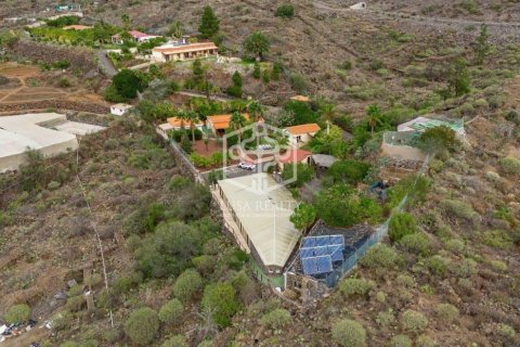 Villa in vendita Guia de Isora, Tenerife, Spagna 15 camere da letto, 874 mq. N° 94469 - foto 4