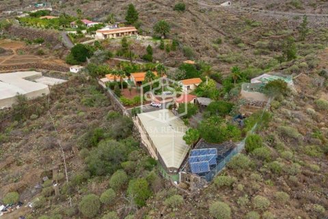 Villa till salu i Guia de Isora, Tenerife, Spanien 15 sovrum, 874 kvm. Nr. 94469 - foto 4