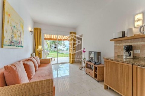 Villa for sale in Guia de Isora, Tenerife, Spain 15 bedrooms, 874 sq.m. No. 94469 - photo 25