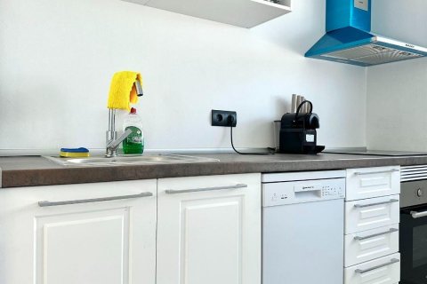 Apartment for rent Benidorm, Alicante, Spain 40 sq.m. No. 116999 - photo 6