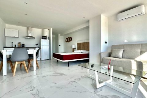 Apartment for rent Benidorm, Alicante, Spain 40 sq.m. No. 116999 - photo 15