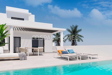 Huvila myytävänä Rojales, Alicante, Espanja, 4 makuuhuonetta, 245 m2 No. 60046 - kuva 21