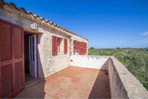 House for sale Ciutadella De Menorca, Menorca, Spain 5 bedrooms, 500 sq.m. No. 110946 - photo 9