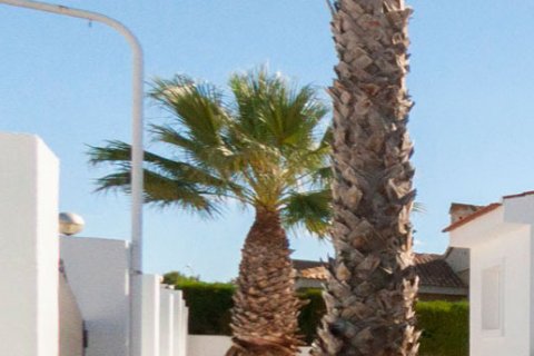 Villa zum Verkauf Benijofar, Alicante, Spanien 3 Schlafzimmer, 130 m2 Nr. 99237 - Foto 24