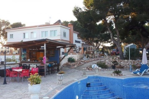 House for sale Los Balcones, Alicante, Spain 8 bedrooms, 480 sq.m. No. 117367 - photo 9