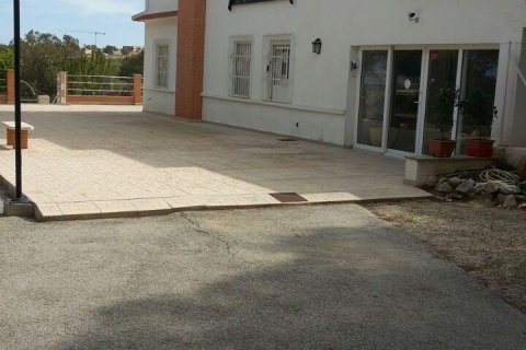 House for sale Los Balcones, Alicante, Spain 8 bedrooms, 480 sq.m. No. 117367 - photo 27