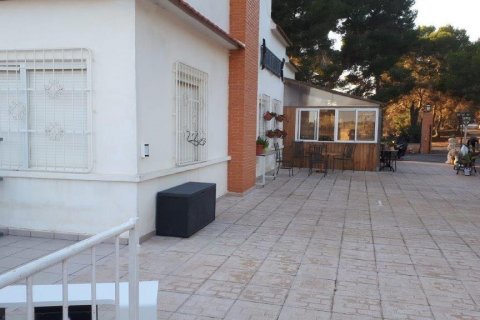 House for sale Los Balcones, Alicante, Spain 8 bedrooms, 480 sq.m. No. 117367 - photo 3